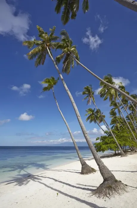 Framed Print : Paliton Beach, near San Juan, Siquijor, Philippines, Southeast Asia, Asia Framed Print : Paliton Beach, near San Juan, Siquijor, Philippines, Southeast Asia, Asia