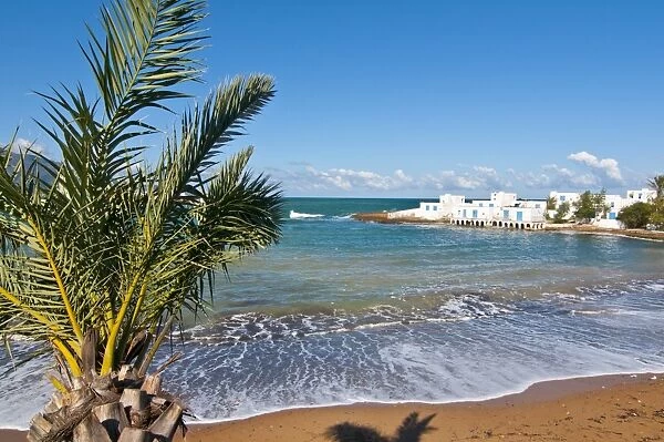 Palm and beach at beach resort on the Mediterranean coast near Tipasa, Algeria