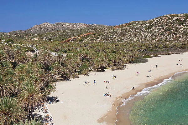 Palm beach of Vai, Lasithi, Crete, Greek Islands, Greece, Europe