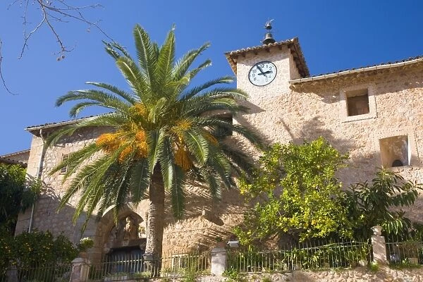 Palm and church belltower overlooking the village square, Fornalutx, near Soller