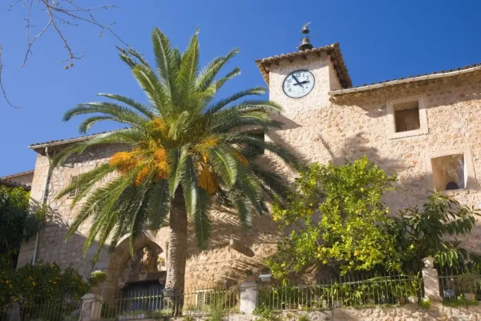 Framed Print : Palm and church belltower overlooking the village square, Fornalutx, near Soller Framed Print : Palm and church belltower overlooking the village square, Fornalutx, near Soller