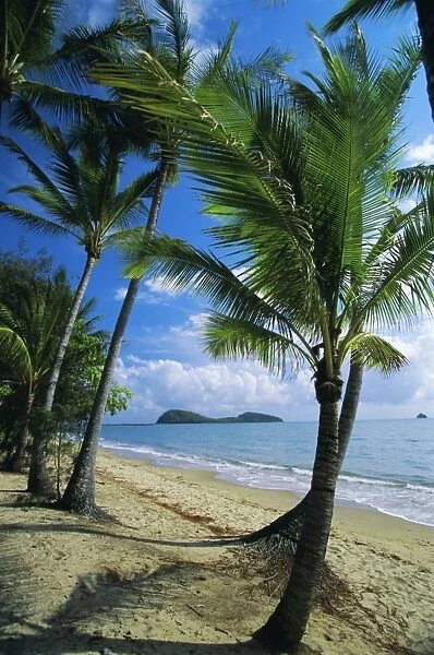 Palm Cove, with Double Island beyond, north of Cairns, Queensland, Australia