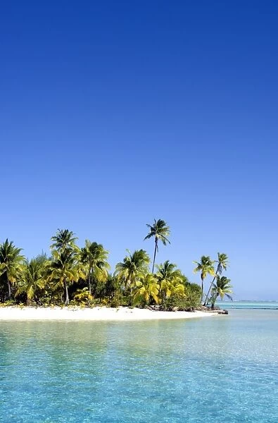 Palm fringed beaches, Cook Islands, South Pacific, Pacific