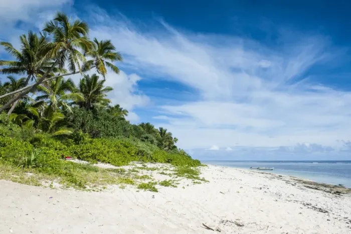 Framed Print : Palm fringed Kolovai beach, Tongatapu, Tonga, South Pacific, Pacific Framed Print : Palm fringed Kolovai beach, Tongatapu, Tonga, South Pacific, Pacific