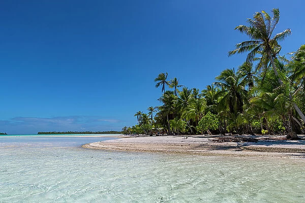 Palm fringed motu in the Blue Lagoon, Rangiroa atoll, Tuamotus, French Polynesia, South Pacific, Pacific