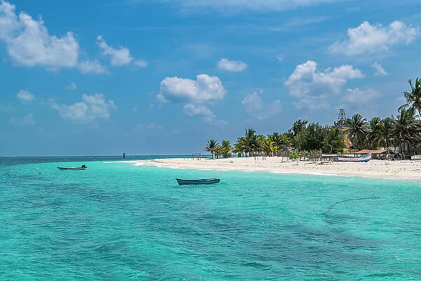 Palm fringed white sand beach, Agatti Island, Lakshadweep archipelago, Union territory of India, Indian Ocean, Asia