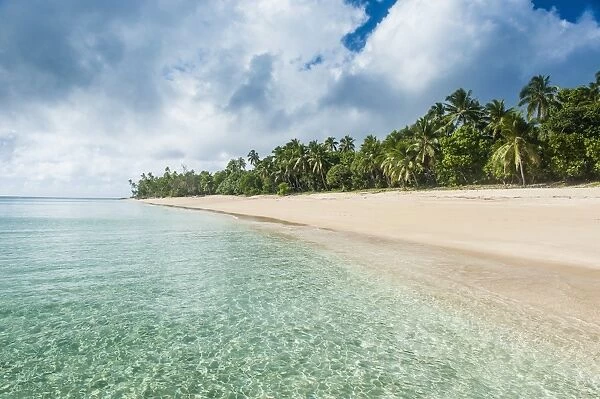 Palm fringed white sand beach in Haapai, Haapai Islands, Tonga, South Pacific, Pacific