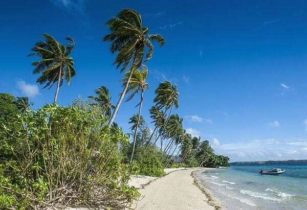 Palm fringed white sand beach on an islet of Vavau, Vavau Islands, Tonga, South Pacific, Pacific