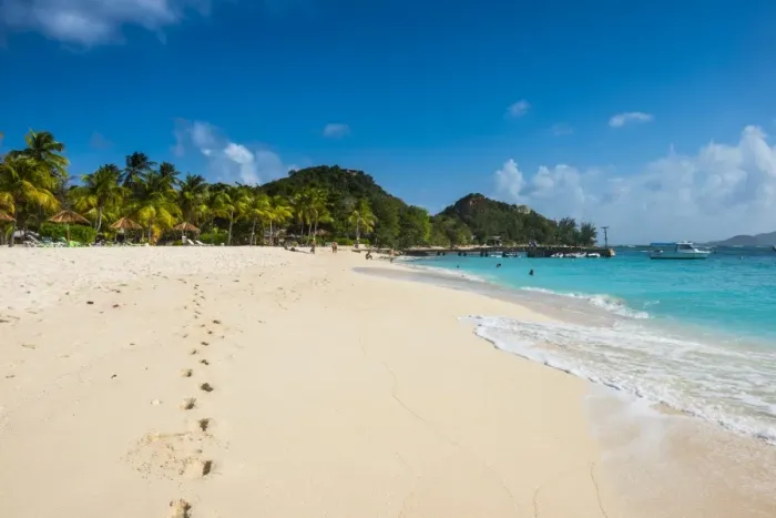 Framed Print : Palm fringed white sand beach on Palm Island, The Grenadines, St. Vincent and the Grenadines, Windward Islands, West Indies, Caribbean, Central America Framed Print : Palm fringed white sand beach on Palm Island, The Grenadines, St. Vincent and the Grenadines, Windward Islands, West Indies, Caribbean, Central America
