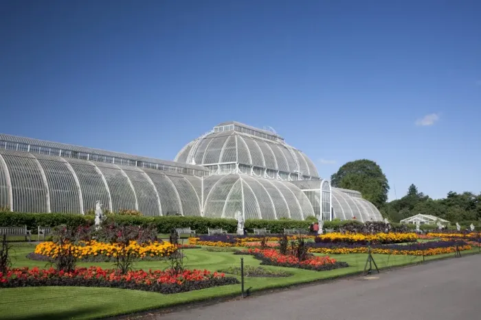 Framed Print : Palm House parterre with floral display of approx 16000 plants, Royal Botanic Gardens, UNESCO World Heritage Site, Kew, near Richmond, Surrey, England, United Kingdom, Europe Framed Print : Palm House parterre with floral display of approx 16000 plants, Royal Botanic Gardens, UNESCO World Heritage Site, Kew, near Richmond, Surrey, England, United Kingdom, Europe