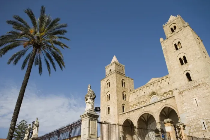 Framed Print : Palm tree and Cathedral