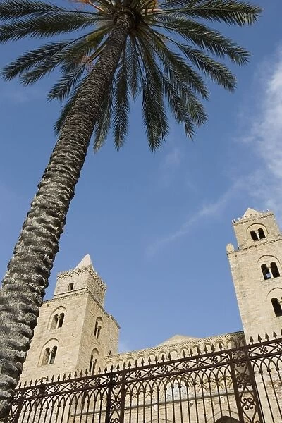 Palm tree and cathedral