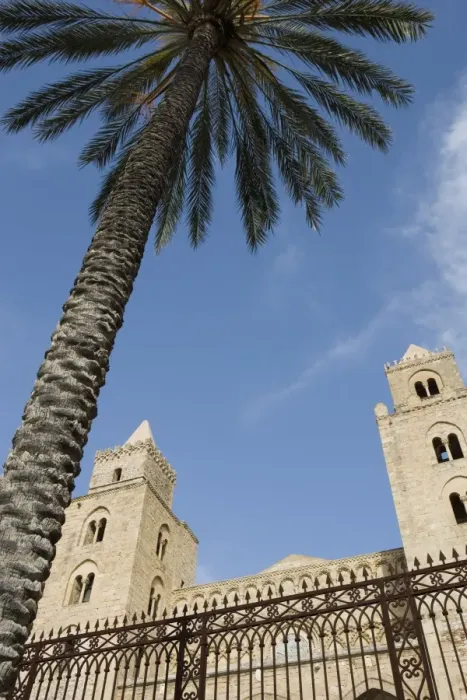 Framed Print : Palm tree and cathedral
