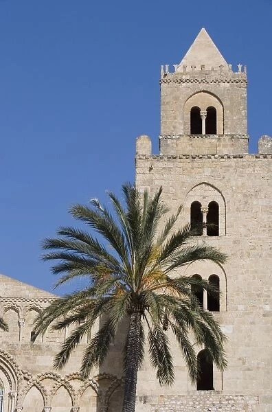 Palm tree, Cathedral