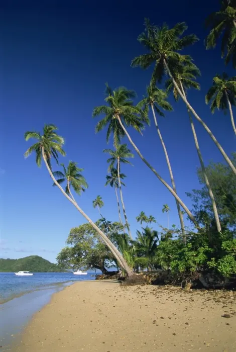 Framed Print : Palm tree lined beach on Matangi Island, with Qamea Island behind, Fiji Framed Print : Palm tree lined beach on Matangi Island, with Qamea Island behind, Fiji