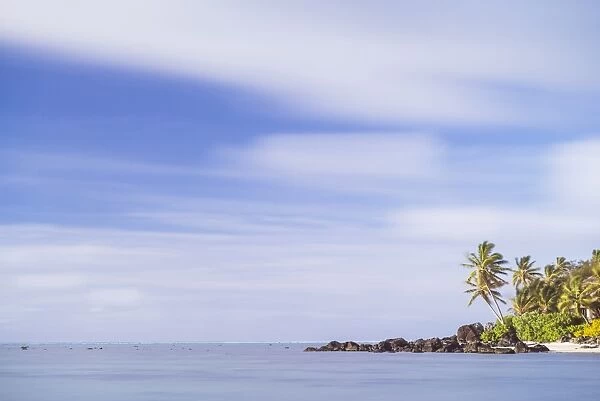 Palm tree long exposure, Muri, Rarotonga, Cook Islands, South Pacific, Pacific