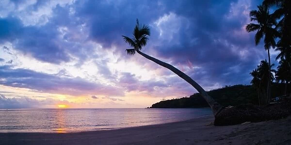 Palm tree silhouette at sunset on the tropical island paradise of Lombok, Indonesia, Southeast Asia, Asia