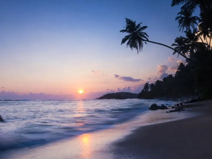 Framed Print : Palm tree at sunset on tropical Mirissa Beach, South Coast of Sri Lanka, Southern Province, Sri Lanka, Asia
