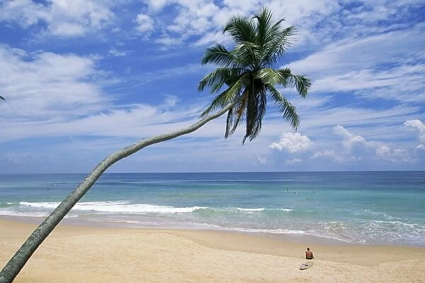 Palm tree and surfer