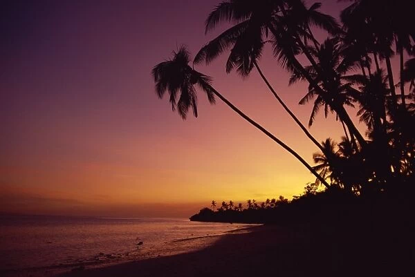 Palm trees on Alona Beach silhouetted at sunset on