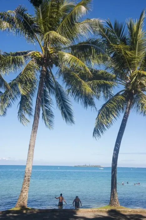 Framed Print : Palm trees, Anse Vata beach, Noumea, New Caledonia, Pacific Framed Print : Palm trees, Anse Vata beach, Noumea, New Caledonia, Pacific