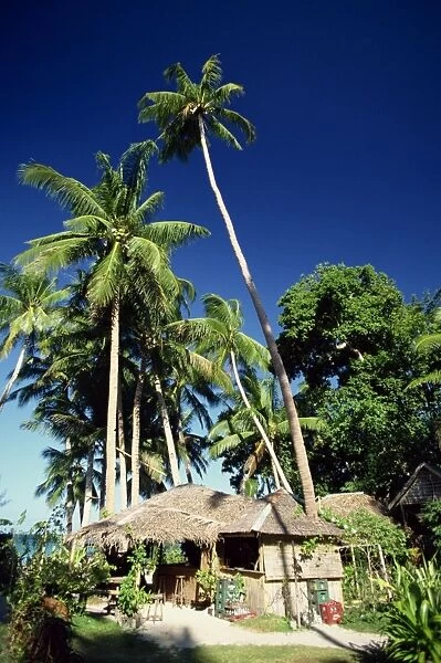 Palm trees and bar on holiday island of Boracay