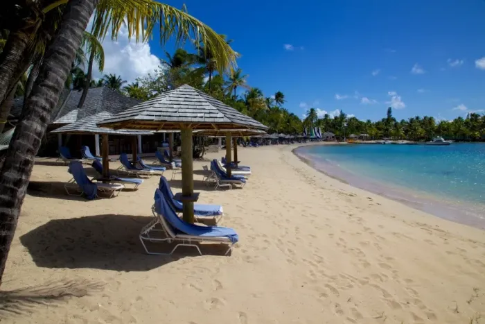 Framed Print : Palm trees and beach, Morris Bay, St. Mary, Antigua, Leeward Islands, West Indies, Caribbean, Central America Framed Print : Palm trees and beach, Morris Bay, St. Mary, Antigua, Leeward Islands, West Indies, Caribbean, Central America