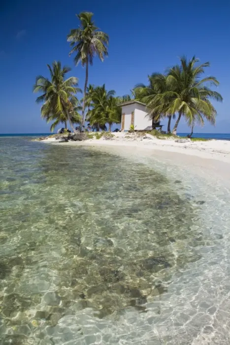Framed Print : Palm trees on beach, Silk Caye, Belize, Central America Framed Print : Palm trees on beach, Silk Caye, Belize, Central America