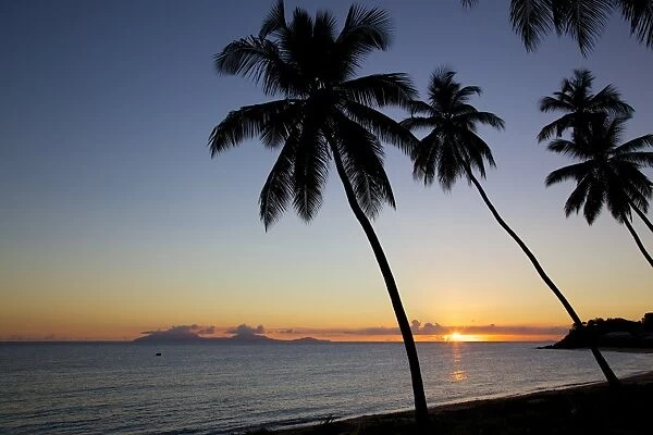 Palm trees and beach at sunset, Morris Bay, St. Mary, Antigua, Leeward Islands, West Indies, Caribbean, Central America