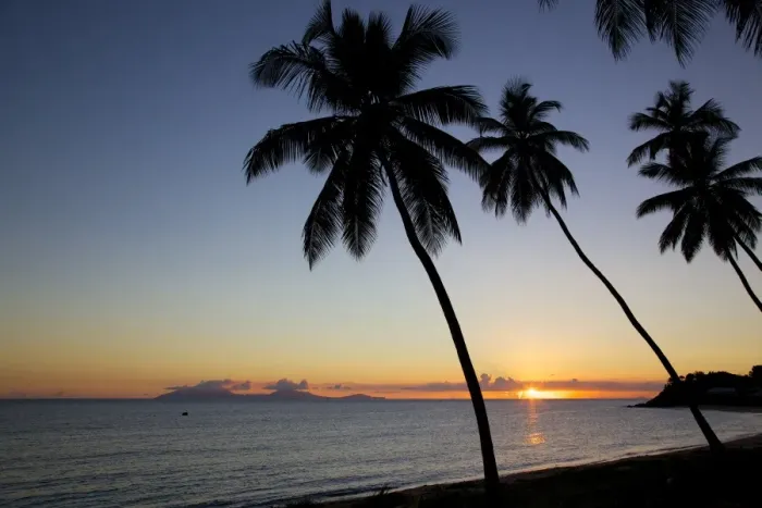 Framed Print : Palm trees and beach at sunset, Morris Bay, St. Mary, Antigua, Leeward Islands, West Indies, Caribbean, Central America Framed Print : Palm trees and beach at sunset, Morris Bay, St. Mary, Antigua, Leeward Islands, West Indies, Caribbean, Central America