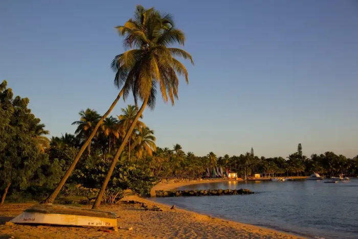 Framed Print : Palm trees and beach at sunset, Morris Bay, St. Mary, Antigua, Leeward Islands, West Indies, Caribbean, Central America Framed Print : Palm trees and beach at sunset, Morris Bay, St. Mary, Antigua, Leeward Islands, West Indies, Caribbean, Central America