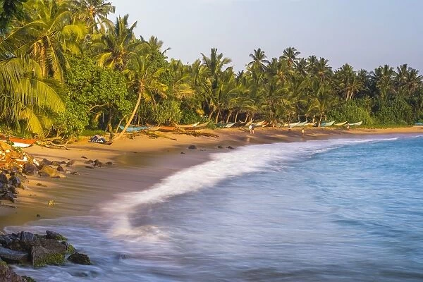 Palm trees on Mirissa Beach, South Coast, Southern Province, Sri Lanka, Asia