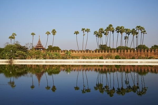 Palm trees reflected in the moat of the fortified palace, Mandalay Palace, Mandalay, Myanmar (Burma), Asia
