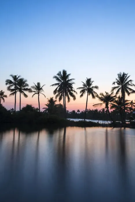 Framed Print : Palm trees reflecting in backwaters, Munroe Island, Kollam, Kerala, India, Asia Framed Print : Palm trees reflecting in backwaters, Munroe Island, Kollam, Kerala, India, Asia