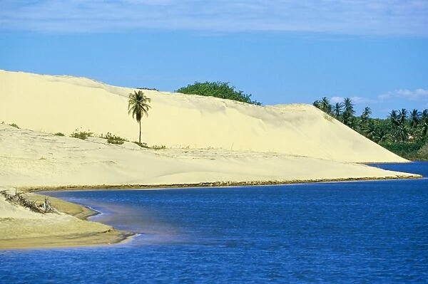 Palm trees, sand dunes and a lagoon near the Ceara coastline, near Canoa Quedrada
