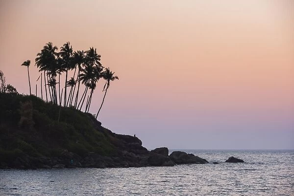 Palm trees silhouetted at Palolem Beach at sunset, Goa, India, Asia