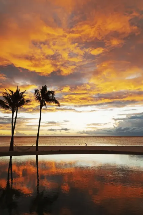 Framed Print : Palm trees silhouetted against red clouds reflect in an infinity pool during sunset over a beach at Flic en Flac, Mauritius, Indian Ocean, Africa Framed Print : Palm trees silhouetted against red clouds reflect in an infinity pool during sunset over a beach at Flic en Flac, Mauritius, Indian Ocean, Africa