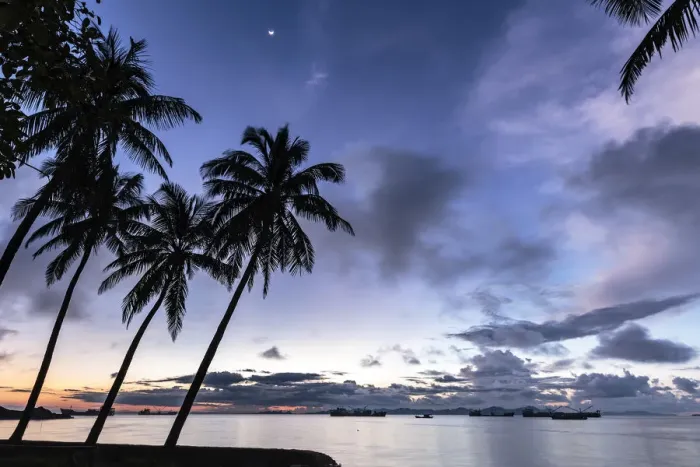 Framed Print : Palm trees by Sittwe harbour before sunrise, with clouds and small moon in the dawn sky Framed Print : Palm trees by Sittwe harbour before sunrise, with clouds and small moon in the dawn sky