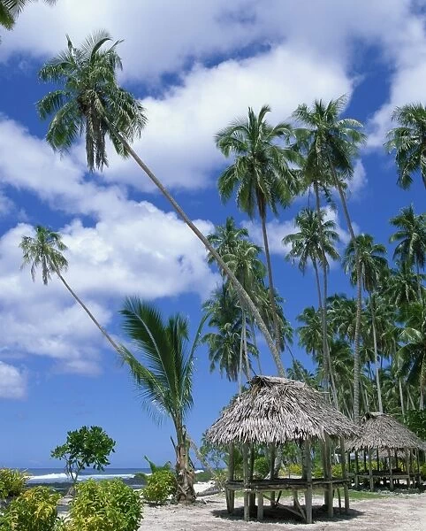 Palm trees and thatched shelters on the beach at Lefaga, Western Samoa