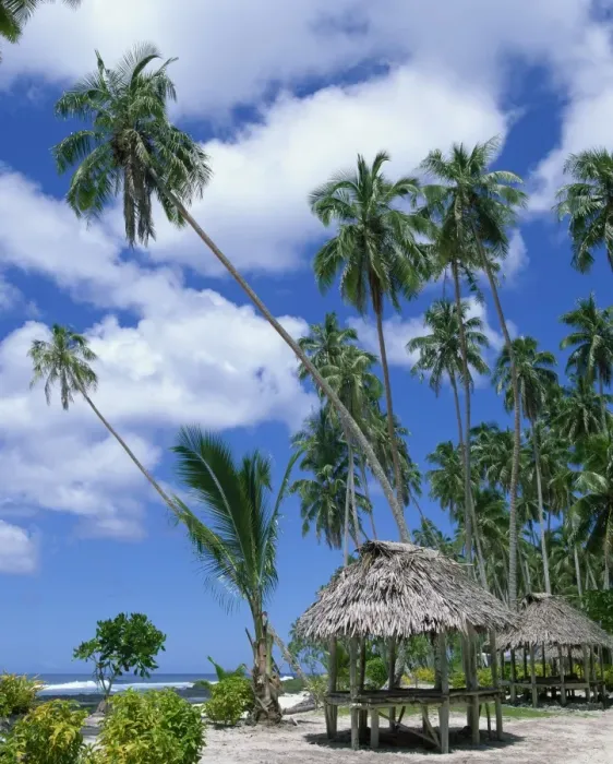 Framed Print : Palm trees and thatched shelters on the beach at Lefaga, Western Samoa Framed Print : Palm trees and thatched shelters on the beach at Lefaga, Western Samoa