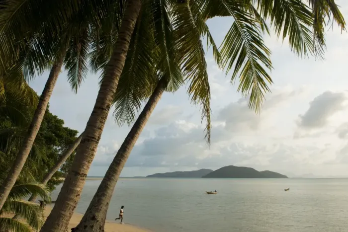 Framed Print : Palm trees, Thong Krut Beach, Ko Samui Island, Surat Thani, Thailand, Southeast Asia, Asia Framed Print : Palm trees, Thong Krut Beach, Ko Samui Island, Surat Thani, Thailand, Southeast Asia, Asia