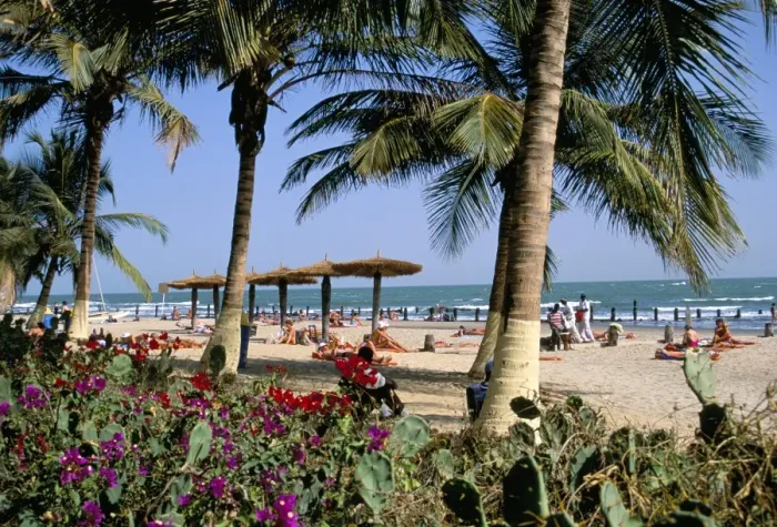 Framed Print : Palm trees and tourists, Bakau beach, the Gambia, West Africa, Africa Framed Print : Palm trees and tourists, Bakau beach, the Gambia, West Africa, Africa