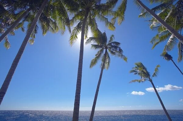 Palm trees on tropical beach, Bali, Indonesia, Southeast Asia, Asia