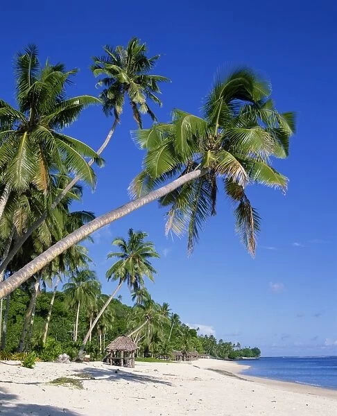 Palm trees and tropical beach at Lalamanu, near Vavau, Western Samoa, Pacific Islands