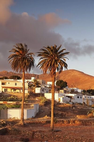 Palm trees and the white village of Toto at sunset, Fuerteventura, Canary Islands, Spain, Europe