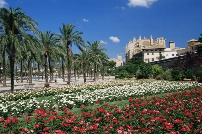 Framed Print : Palma cathedral and gardens of Parc de la Mar square Framed Print : Palma cathedral and gardens of Parc de la Mar square