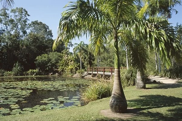 Palms and Centenary Lakes, Cairns, Queensland, Australia, Pacific