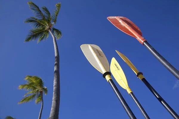 Palms and paddles, Bavaro Beach, Punta Cana, Dominican Republic, West Indies