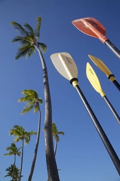 Palms and paddles, Bavaro Beach, Punta Cana, Dominican Republic, West Indies