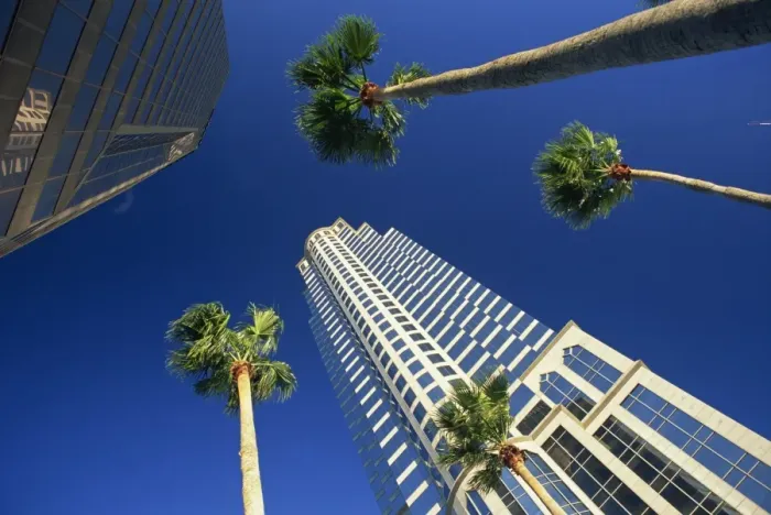 Framed Print : Palms and skyscrapers in downtown Tampa Framed Print : Palms and skyscrapers in downtown Tampa